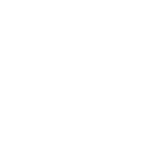 Rolezy Plus